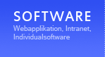 Software: Webapplikation, Intranet, Individualsoftware
